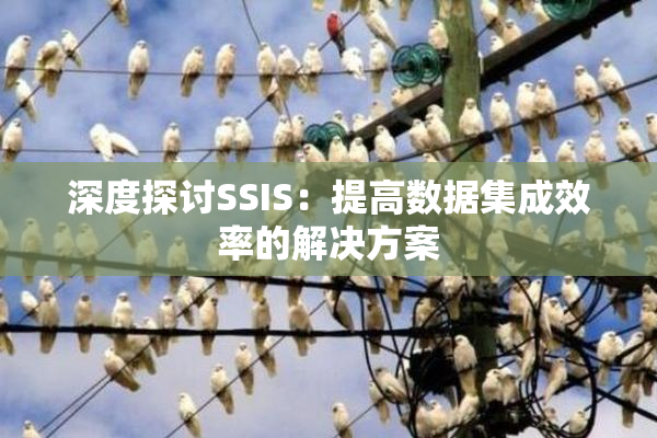 深度探讨SSIS：提高数据集成效率的解决方案