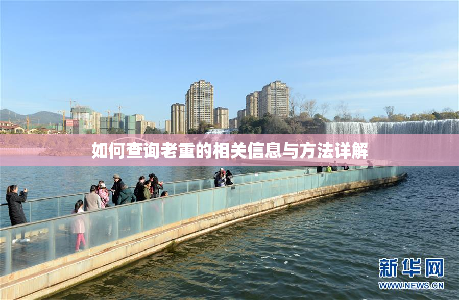 如何查询老重的相关信息与方法详解