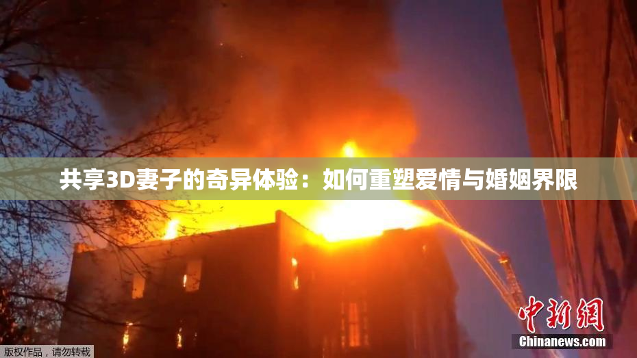共享3D妻子的奇异体验：如何重塑爱情与婚姻界限