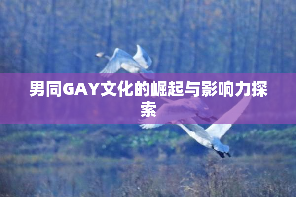 男同GAY文化的崛起与影响力探索