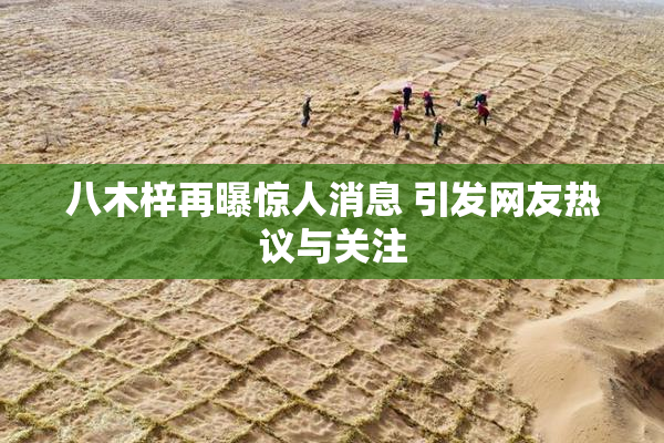 八木梓再曝惊人消息 引发网友热议与关注