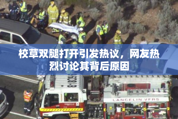校草双腿打开引发热议，网友热烈讨论其背后原因
