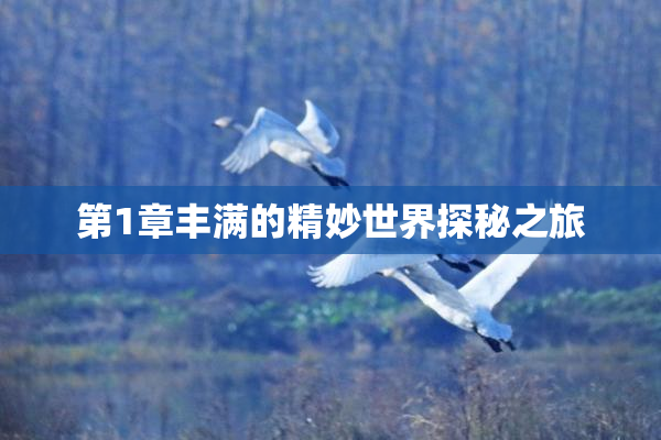 第1章丰满的精妙世界探秘之旅