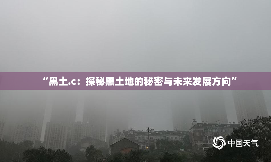 “黑土.c：探秘黑土地的秘密与未来发展方向”