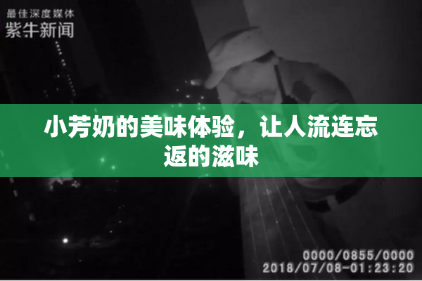 小芳奶的美味体验，让人流连忘返的滋味