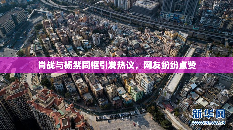 肖战与杨紫同框引发热议，网友纷纷点赞