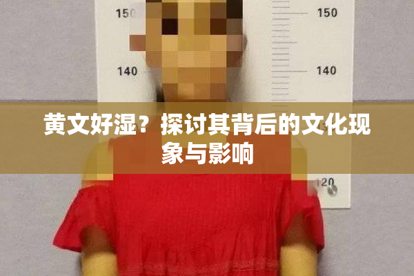 黄文好湿？探讨其背后的文化现象与影响
