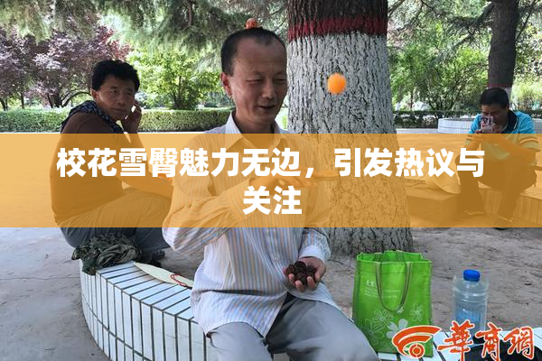 校花雪臀魅力无边，引发热议与关注