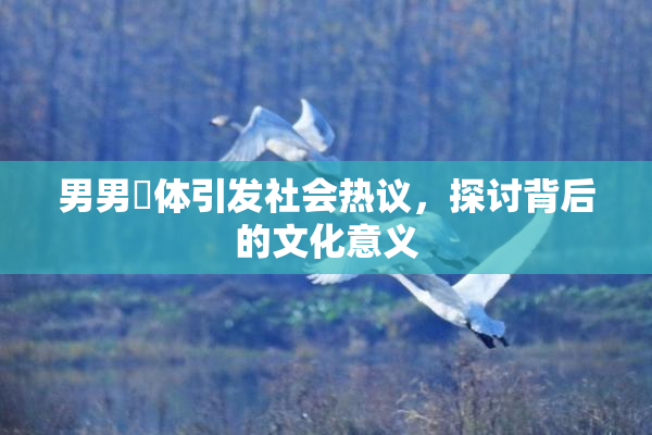 男男祼体引发社会热议，探讨背后的文化意义