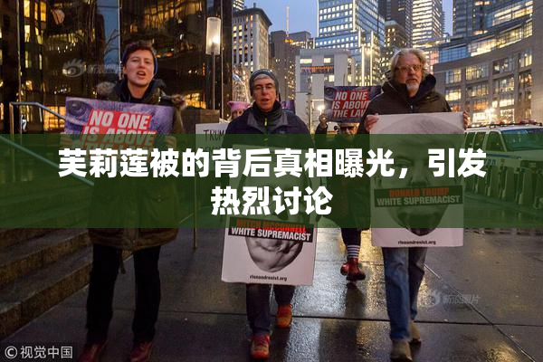 芙莉莲被的背后真相曝光，引发热烈讨论