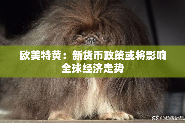 欧美特黄：新货币政策或将影响全球经济走势