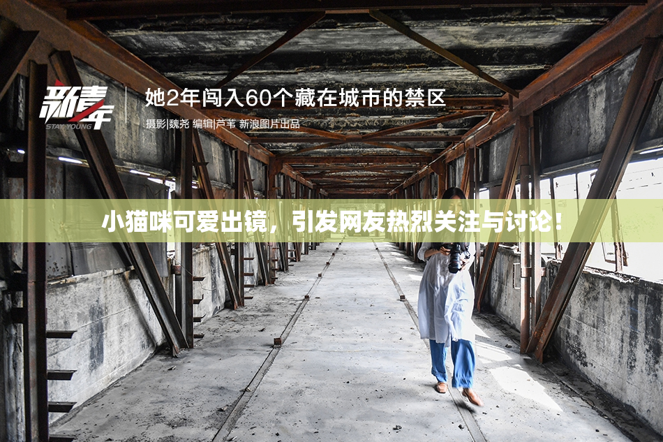 小猫咪可爱出镜，引发网友热烈关注与讨论！