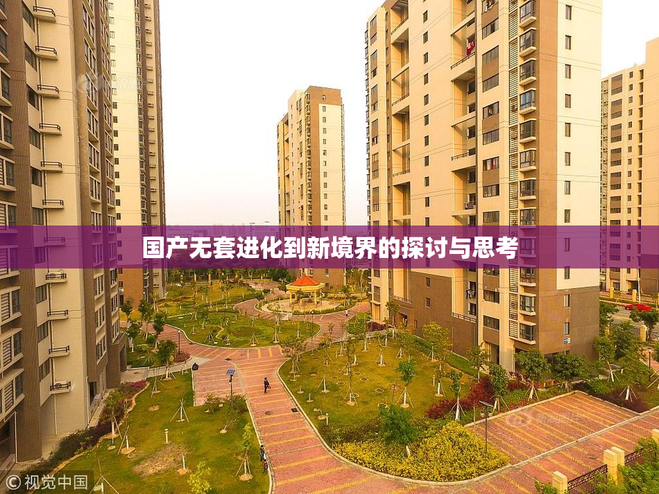 国产无套进化到新境界的探讨与思考
