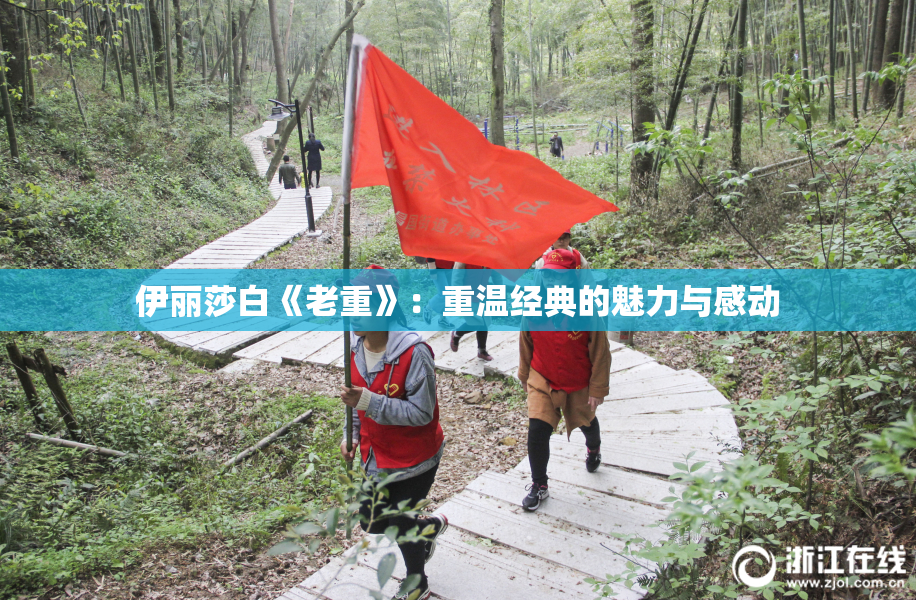 伊丽莎白《老重》：重温经典的魅力与感动
