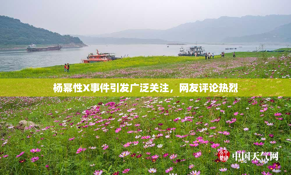 杨幂性X事件引发广泛关注，网友评论热烈