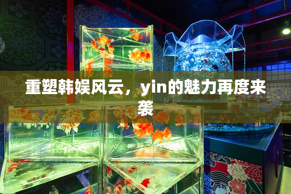 重塑韩娱风云，yin的魅力再度来袭