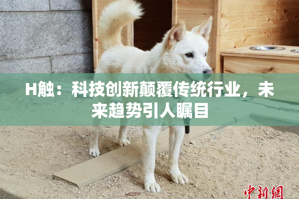 H触：科技创新颠覆传统行业，未来趋势引人瞩目