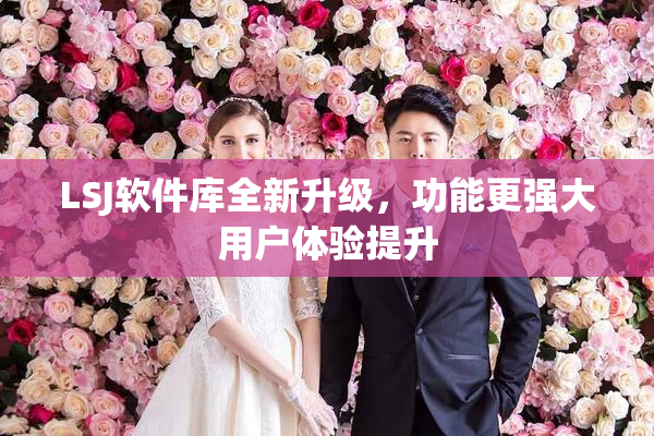 LSJ软件库全新升级，功能更强大用户体验提升