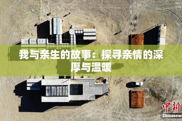 我与亲生的故事：探寻亲情的深厚与温暖