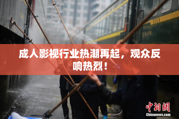 成人影视行业热潮再起，观众反响热烈！