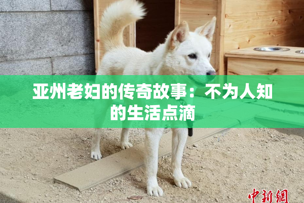 亚州老妇的传奇故事：不为人知的生活点滴