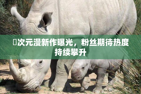 囧次元漫新作曝光，粉丝期待热度持续攀升