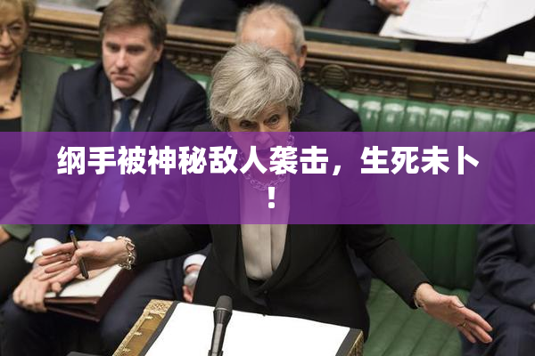 纲手被神秘敌人袭击，生死未卜！