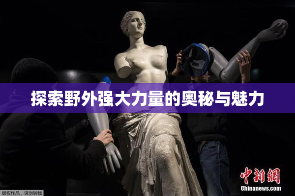 探索野外强大力量的奥秘与魅力