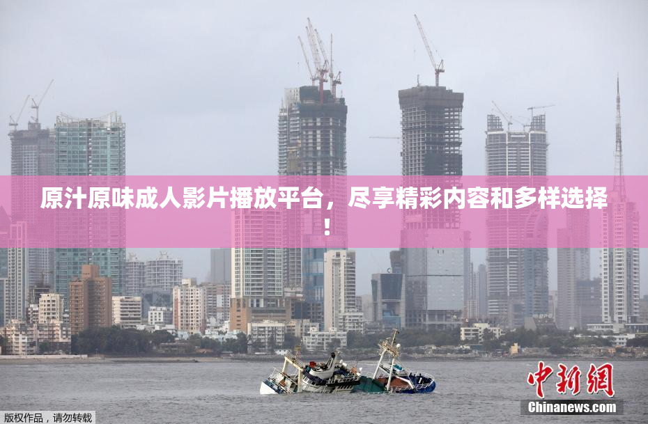原汁原味成人影片播放平台，尽享精彩内容和多样选择！