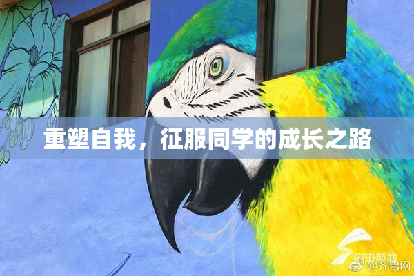 重塑自我，征服同学的成长之路