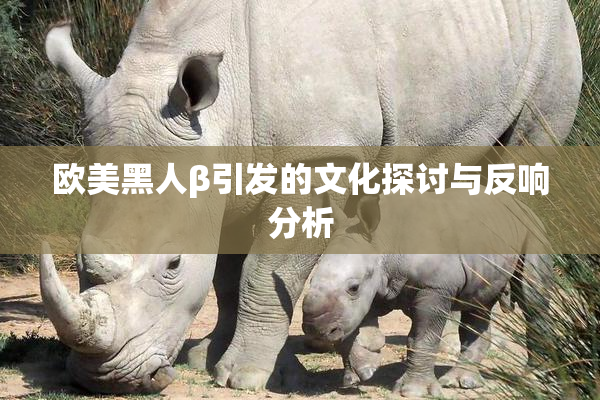 欧美黑人β引发的文化探讨与反响分析