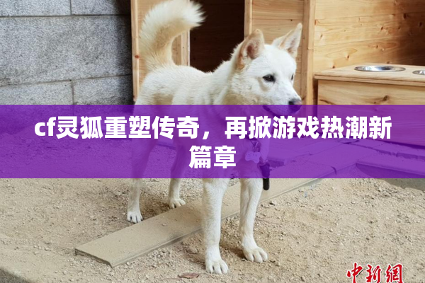 cf灵狐重塑传奇，再掀游戏热潮新篇章