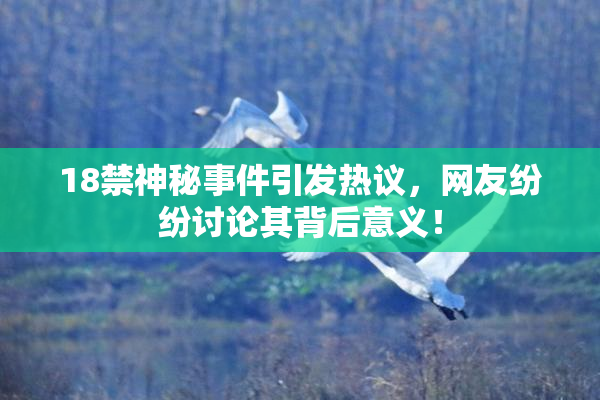 18禁神秘事件引发热议，网友纷纷讨论其背后意义！