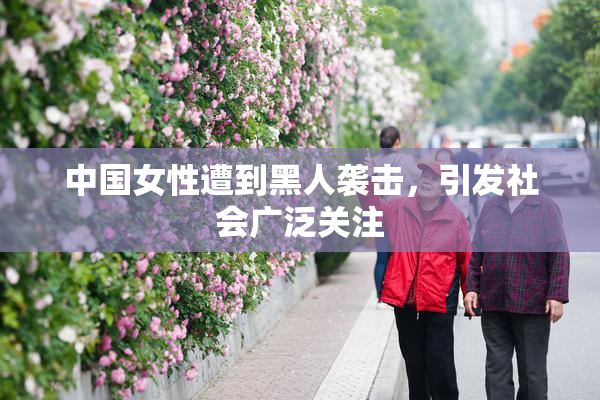 中国女性遭到黑人袭击，引发社会广泛关注