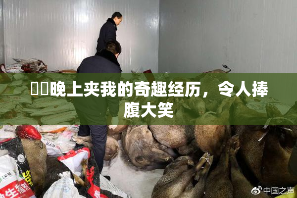 妺妺晚上夹我的奇趣经历，令人捧腹大笑