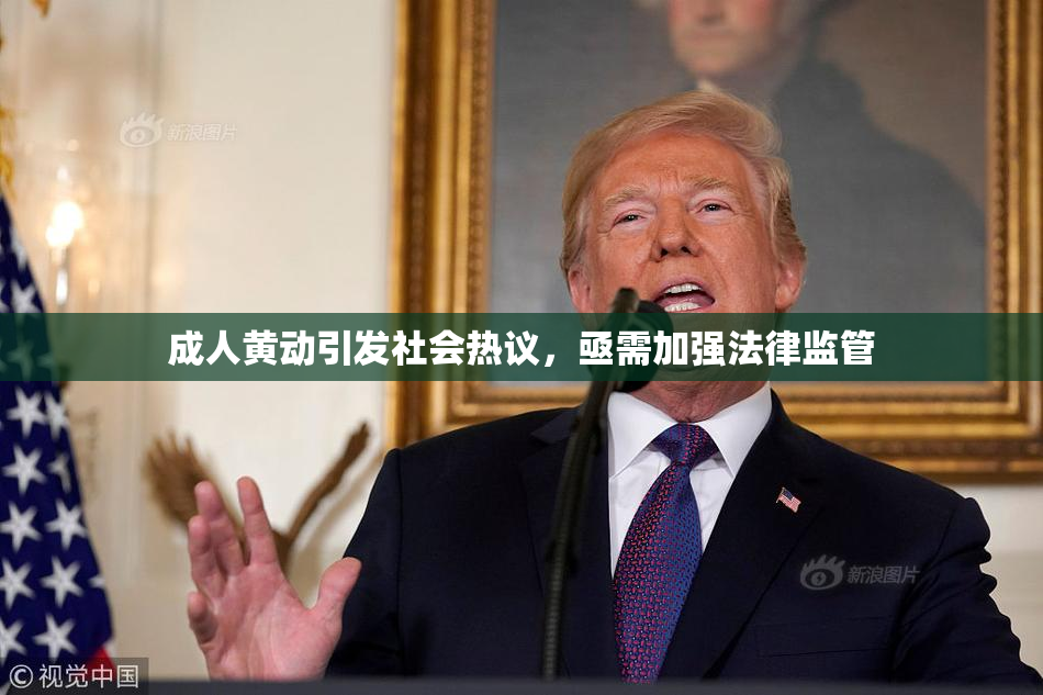 成人黄动引发社会热议，亟需加强法律监管