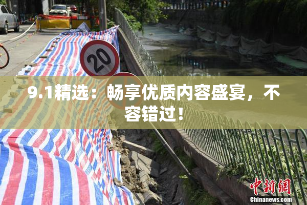 9.1精选：畅享优质内容盛宴，不容错过！