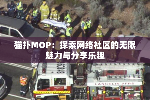 猫扑MOP：探索网络社区的无限魅力与分享乐趣