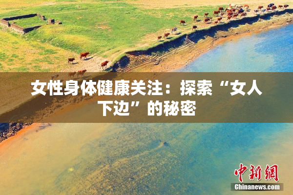 女性身体健康关注：探索“女人下边”的秘密