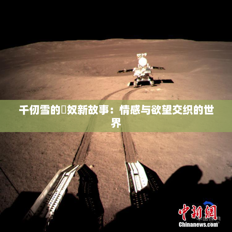 千仞雪的婬奴新故事：情感与欲望交织的世界