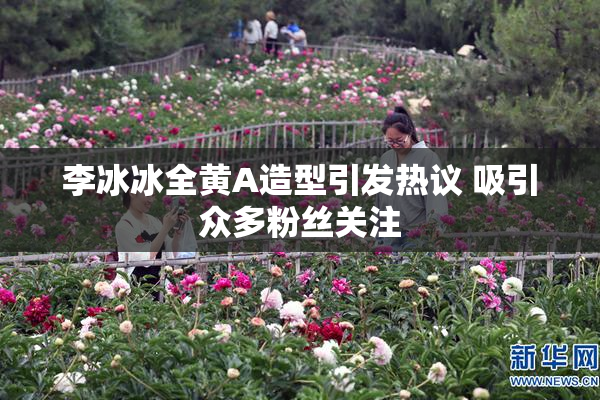 李冰冰全黄A造型引发热议 吸引众多粉丝关注