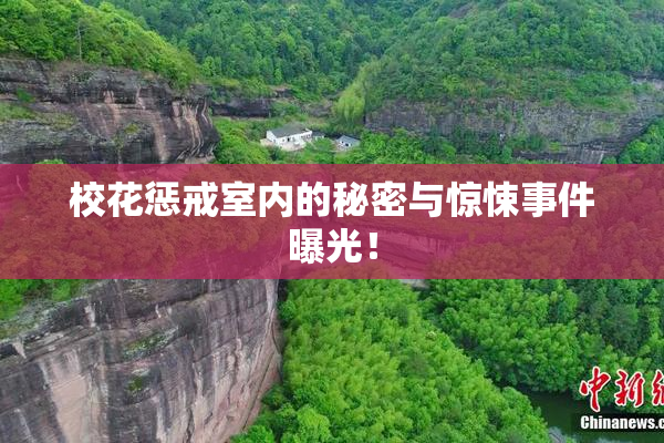 校花惩戒室内的秘密与惊悚事件曝光！