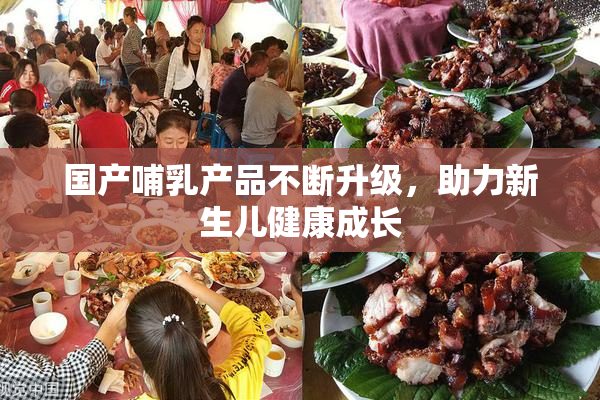 国产哺乳产品不断升级，助力新生儿健康成长