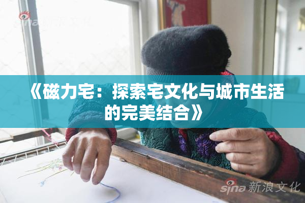 《磁力宅：探索宅文化与城市生活的完美结合》