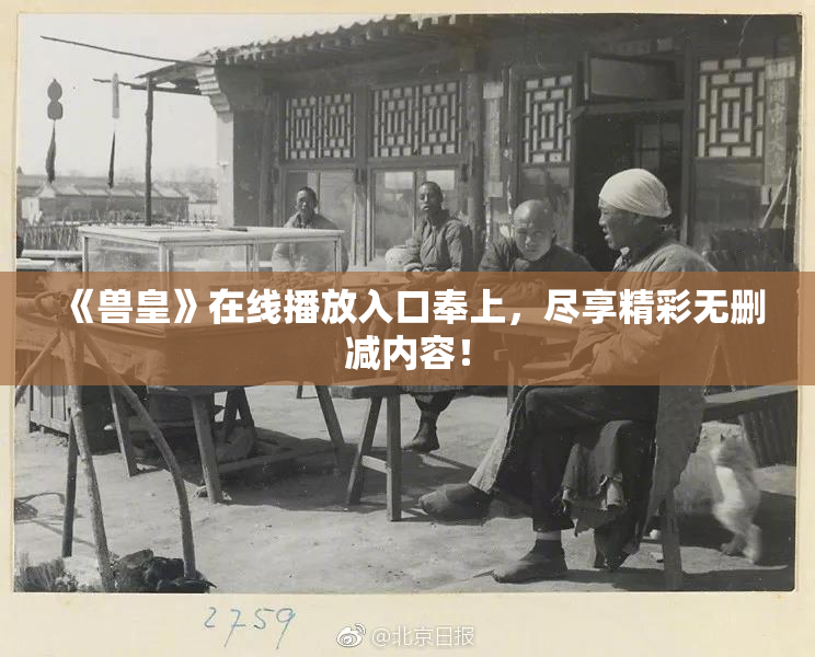 《兽皇》在线播放入口奉上，尽享精彩无删减内容！