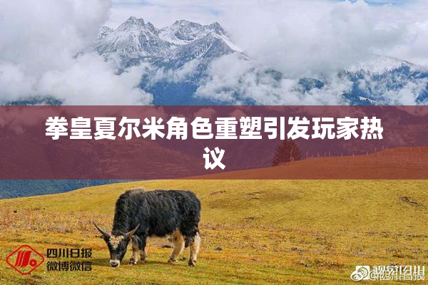 拳皇夏尔米角色重塑引发玩家热议