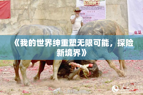 《我的世界绅重塑无限可能，探险新境界》
