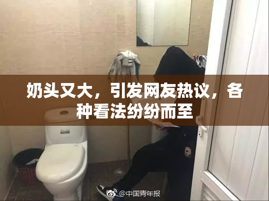 奶头又大，引发网友热议，各种看法纷纷而至