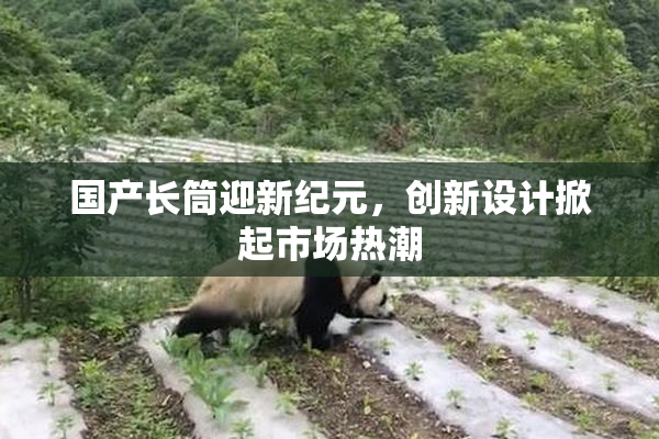 国产长筒迎新纪元，创新设计掀起市场热潮