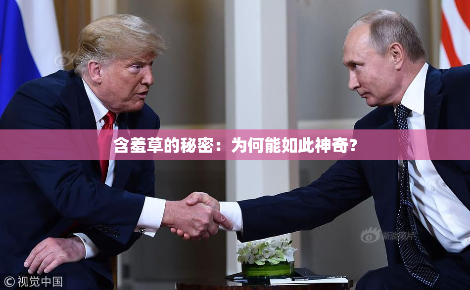含羞草的秘密：为何能如此神奇？